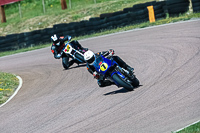 enduro-digital-images;event-digital-images;eventdigitalimages;lydden-hill;lydden-no-limits-trackday;lydden-photographs;lydden-trackday-photographs;no-limits-trackdays;peter-wileman-photography;racing-digital-images;trackday-digital-images;trackday-photos